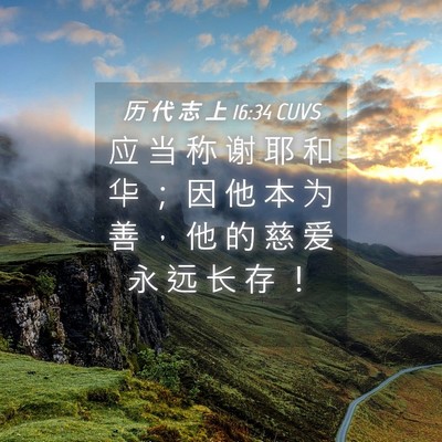 Picture 04 - 历 代 志 上 16:34 CUVS - 应 当 称 谢 耶 和 华 ； 因 他 本 为 - Bible Verse Picture
