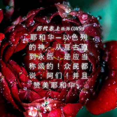 Picture 04 - 历 代 志 上 16:36 CUVS - 耶 和 华 ─ 以 色 列 的 神 ， 从 亘 - Bible Verse Picture
