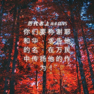 Picture 04 - 历 代 志 上 16:8 CUVS - 你 们 要 称 谢 耶 和 华 ， 求 告 他 - Bible Verse Picture