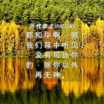 Picture 04 - 历 代 志 上 17:20 CUVS - 耶 和 华 啊 ， 照 我 们 耳 中 听 见 - Bible Verse Picture