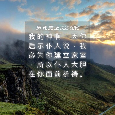 Picture 04 - 历 代 志 上 17:25 CUVS - 我 的 神 啊 ， 因 你 启 示 仆 人 说 - Bible Verse Picture