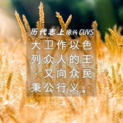 Picture 04 - 历 代 志 上 18:14 CUVS - 大 卫 作 以 色 列 众 人 的 王 ， 又 - Bible Verse Picture