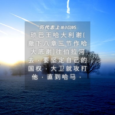 Picture 04 - 历 代 志 上 18:3 CUVS - 琐 巴 王 哈 大 利 谢 ( 撒 下 八 章 三 - Bible Verse Picture