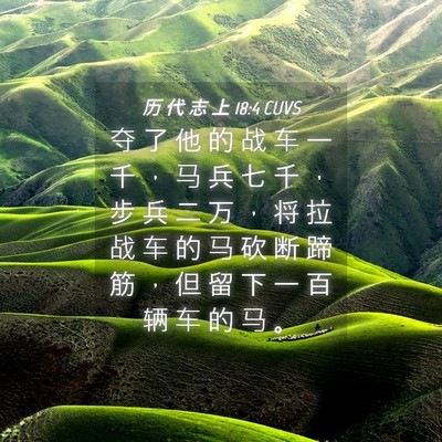 Picture 04 - 历 代 志 上 18:4 CUVS - 夺 了 他 的 战 车 一 千 ， 马 兵 七 - Bible Verse Picture