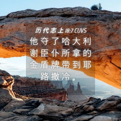 Picture 04 - 历 代 志 上 18:7 CUVS - 他 夺 了 哈 大 利 谢 臣 仆 所 拿 的 - Bible Verse Picture