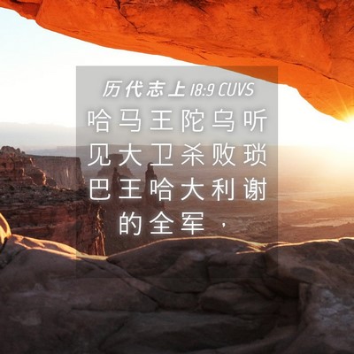Picture 04 - 历 代 志 上 18:9 CUVS - 哈 马 王 陀 乌 听 见 大 卫 杀 败 琐 - Bible Verse Picture