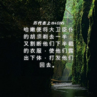 Picture 04 - 历 代 志 上 19:4 CUVS - 哈 嫩 便 将 大 卫 臣 仆 的 胡 须 剃 - Bible Verse Picture