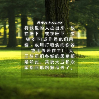 Picture 04 - 历 代 志 上 20:3 CUVS - 将 城 里 的 人 拉 出 来 ， 放 在 锯 - Bible Verse Picture