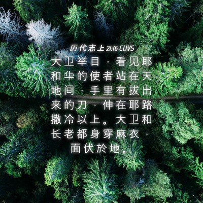 Picture 04 - 历 代 志 上 21:16 CUVS - 大 卫 举 目 ， 看 见 耶 和 华 的 使 - Bible Verse Picture