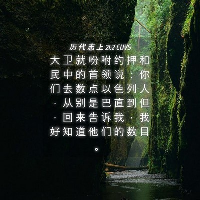 Picture 04 - 历 代 志 上 21:2 CUVS - 大 卫 就 吩 咐 约 押 和 民 中 的 首 - Bible Verse Picture