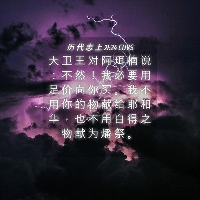 Picture 04 - 历 代 志 上 21:24 CUVS - 大 卫 王 对 阿 珥 楠 说 ： 不 然 ！ - Bible Verse Picture