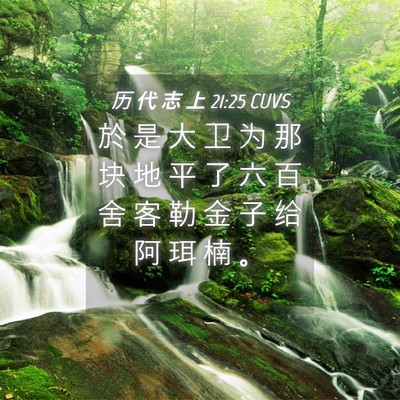 Picture 04 - 历 代 志 上 21:25 CUVS - 於 是 大 卫 为 那 块 地 平 了 六 百 - Bible Verse Picture