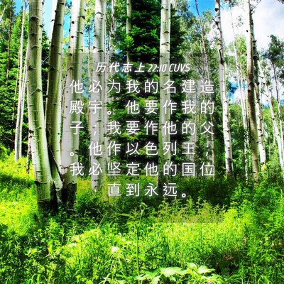 Picture 04 - 历 代 志 上 22:10 CUVS - 他 必 为 我 的 名 建 造 殿 宇 。 他 - Bible Verse Picture