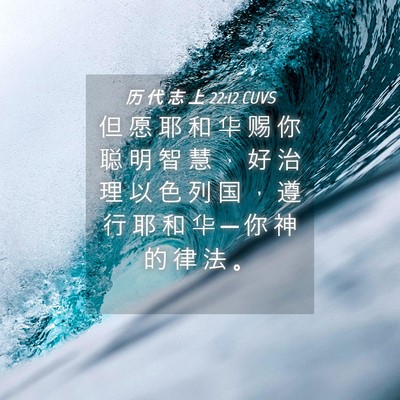 Picture 04 - 历 代 志 上 22:12 CUVS - 但 愿 耶 和 华 赐 你 聪 明 智 慧 ， - Bible Verse Picture
