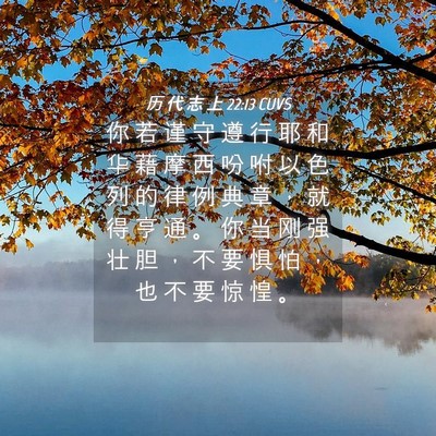 Picture 04 - 历 代 志 上 22:13 CUVS - 你 若 谨 守 遵 行 耶 和 华 藉 摩 西 - Bible Verse Picture