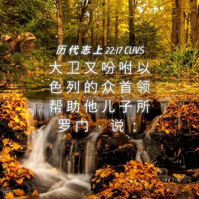 Picture 04 - 历 代 志 上 22:17 CUVS - 大 卫 又 吩 咐 以 色 列 的 众 首 领 - Bible Verse Picture