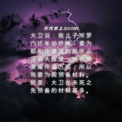 Picture 04 - 历 代 志 上 22:5 CUVS - 大 卫 说 ： 我 儿 子 所 罗 门 还 年 - Bible Verse Picture