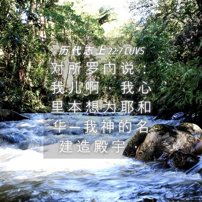 Picture 04 - 历 代 志 上 22:7 CUVS - 对 所 罗 门 说 ： 我 儿 啊 ， 我 心 - Bible Verse Picture
