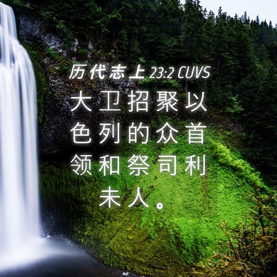 Picture 04 - 历 代 志 上 23:2 CUVS - 大 卫 招 聚 以 色 列 的 众 首 领 和 - Bible Verse Picture