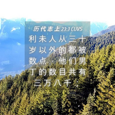Picture 04 - 历 代 志 上 23:3 CUVS - 利 未 人 从 三 十 岁 以 外 的 都 被 - Bible Verse Picture