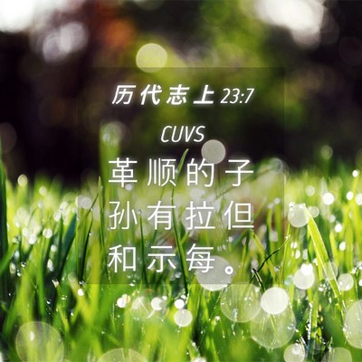 Picture 04 - 历 代 志 上 23:7 CUVS - 革 顺 的 子 孙 有 拉 但 和 示 每 - Bible Verse Picture