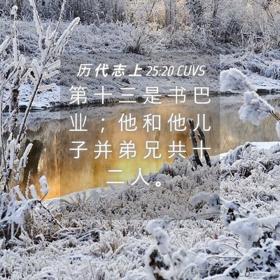 Picture 04 - 历 代 志 上 25:20 CUVS - 第 十 三 是 书 巴 业 ； 他 和 他 儿 - Bible Verse Picture