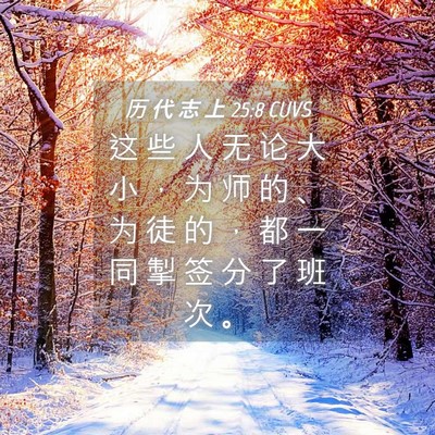 Picture 04 - 历 代 志 上 25:8 CUVS - 这 些 人 无 论 大 小 ， 为 师 的 、 - Bible Verse Picture