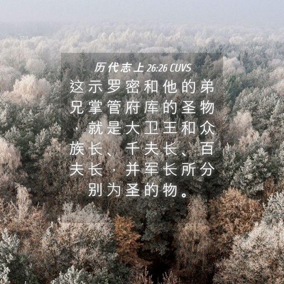 Picture 04 - 历 代 志 上 26:26 CUVS - 这 示 罗 密 和 他 的 弟 兄 掌 管 府 - Bible Verse Picture