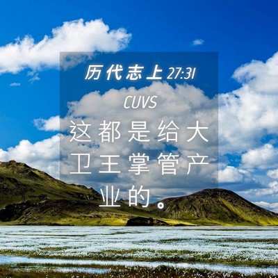 Picture 04 - 历 代 志 上 27:31 CUVS - 这 都 是 给 大 卫 王 掌 管 产 业 的 - Bible Verse Picture