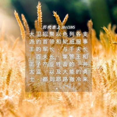 Picture 04 - 历 代 志 上 28:1 CUVS - 大 卫 招 聚 以 色 列 各 支 派 的 首 - Bible Verse Picture
