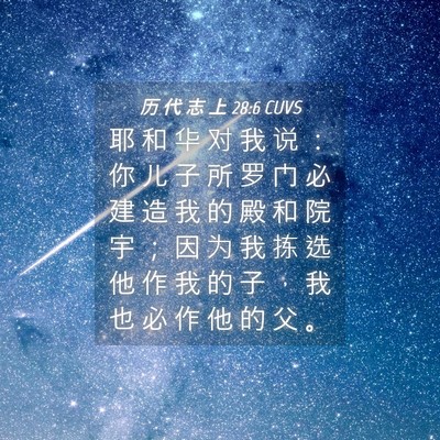 Picture 04 - 历 代 志 上 28:6 CUVS - 耶 和 华 对 我 说 ： 你 儿 子 所 罗 - Bible Verse Picture
