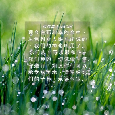 Picture 04 - 历 代 志 上 28:8 CUVS - 现 今 在 耶 和 华 的 会 中 ， 以 色 - Bible Verse Picture