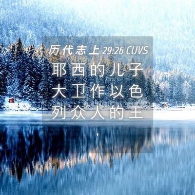 Picture 04 - 历 代 志 上 29:26 CUVS - 耶 西 的 儿 子 大 卫 作 以 色 列 众 - Bible Verse Picture