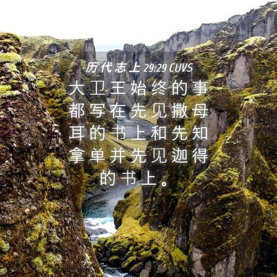 Picture 04 - 历 代 志 上 29:29 CUVS - 大 卫 王 始 终 的 事 都 写 在 先 见 - Bible Verse Picture