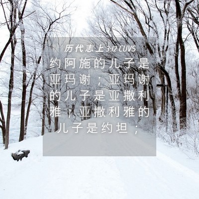 Picture 04 - 历 代 志 上 3:12 CUVS - 约 阿 施 的 儿 子 是 亚 玛 谢 ； 亚 - Bible Verse Picture
