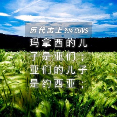 Picture 04 - 历 代 志 上 3:14 CUVS - 玛 拿 西 的 儿 子 是 亚 们 ； 亚 们 - Bible Verse Picture