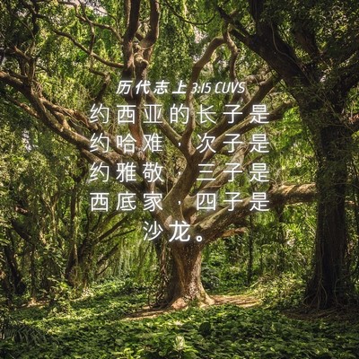 Picture 04 - 历 代 志 上 3:15 CUVS - 约 西 亚 的 长 子 是 约 哈 难 ， 次 - Bible Verse Picture