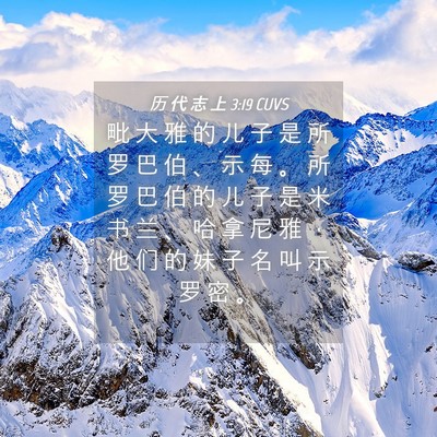 Picture 04 - 历 代 志 上 3:19 CUVS - 毗 大 雅 的 儿 子 是 所 罗 巴 伯 、 - Bible Verse Picture