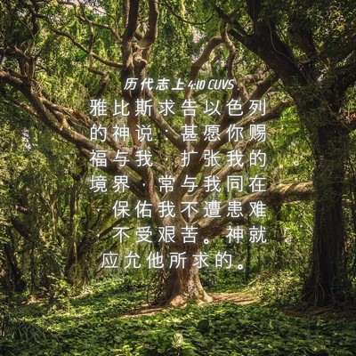Picture 04 - 历 代 志 上 4:10 CUVS - 雅 比 斯 求 告 以 色 列 的 神 说 ： - Bible Verse Picture