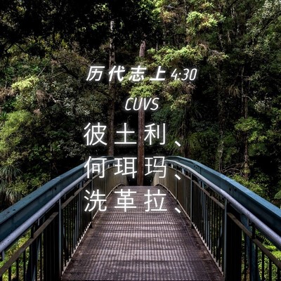 Picture 04 - 历 代 志 上 4:30 CUVS - 彼 土 利 、 何 珥 玛 、 洗 革 拉 - Bible Verse Picture