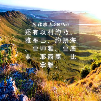 Picture 04 - 历 代 志 上 4:36 CUVS - 还 有 以 利 约 乃 、 雅 哥 巴 、 约 - Bible Verse Picture