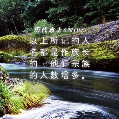 Picture 04 - 历 代 志 上 4:38 CUVS - 以 上 所 记 的 人 名 都 是 作 族 长 - Bible Verse Picture