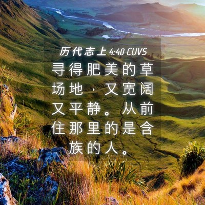 Picture 04 - 历 代 志 上 4:40 CUVS - 寻 得 肥 美 的 草 场 地 ， 又 宽 阔 - Bible Verse Picture