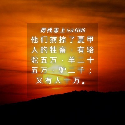 Picture 04 - 历 代 志 上 5:21 CUVS - 他 们 掳 掠 了 夏 甲 人 的 牲 畜 ， - Bible Verse Picture