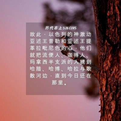 Picture 04 - 历 代 志 上 5:26 CUVS - 故 此 ， 以 色 列 的 神 激 动 亚 述 - Bible Verse Picture