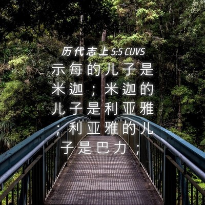 Picture 04 - 历 代 志 上 5:5 CUVS - 示 每 的 儿 子 是 米 迦 ； 米 迦 的 - Bible Verse Picture