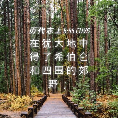 Picture 04 - 历 代 志 上 6:55 CUVS - 在 犹 大 地 中 得 了 希 伯 仑 和 四 - Bible Verse Picture