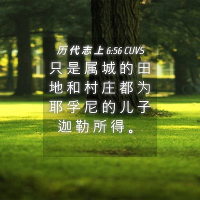 Picture 04 - 历 代 志 上 6:56 CUVS - 只 是 属 城 的 田 地 和 村 庄 都 为 - Bible Verse Picture