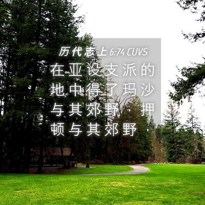 Picture 04 - 历 代 志 上 6:74 CUVS - 在 亚 设 支 派 的 地 中 得 了 玛 沙 - Bible Verse Picture
