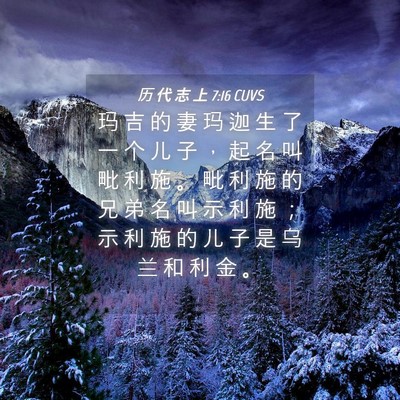Picture 04 - 历 代 志 上 7:16 CUVS - 玛 吉 的 妻 玛 迦 生 了 一 个 儿 子 - Bible Verse Picture